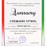 diploma_snezani_lucic_210613